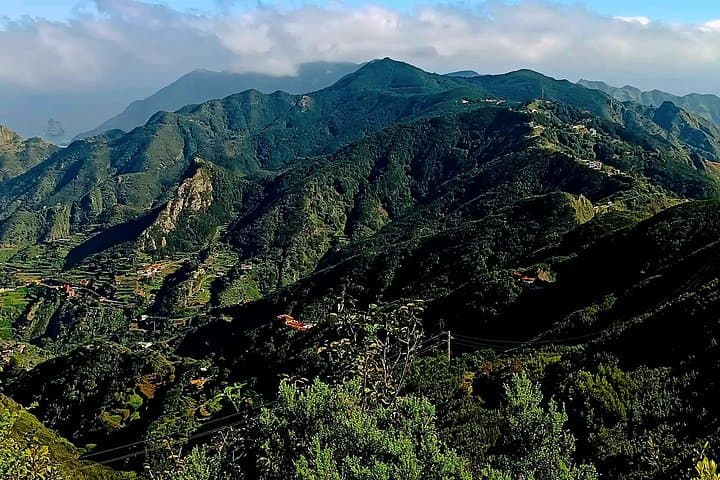 Tour Premium: Senderismo Anaga, Punta Hidalgo y Cruz del Carmen - 4