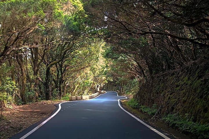 Tour Premium: Senderismo Anaga, Punta Hidalgo y Cruz del Carmen - 7