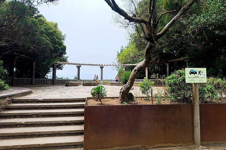 Tour Premium: Senderismo Anaga, Punta Hidalgo y Cruz del Carmen - 8