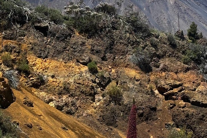 Tour en Patinete Eléctrico Off-Road por la Montaña en Tenerife - 6