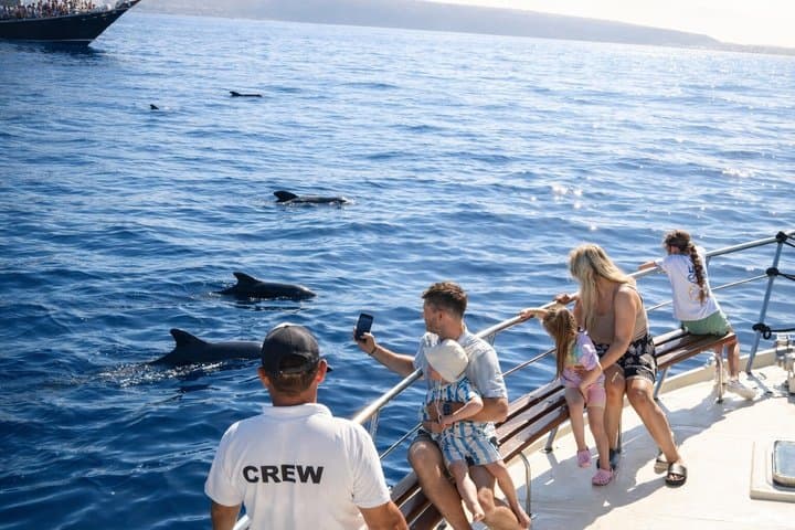 Descubre Ballenas en Tenerife : Tour en Yate Compartido, Natación & Almuerzo - 2
