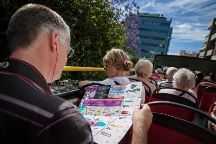 Tour en autobús turístico por Santa Cruz de Tenerife - 8