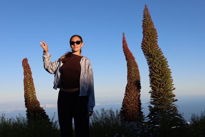 Puerto de la Cruz: Parque Nacional del Teide - 6