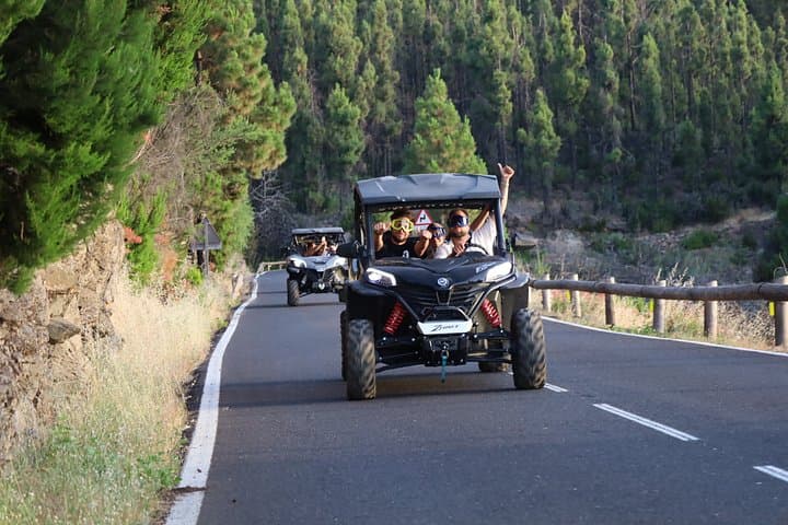 Puerto de la Cruz: Parque Nacional del Teide - 8