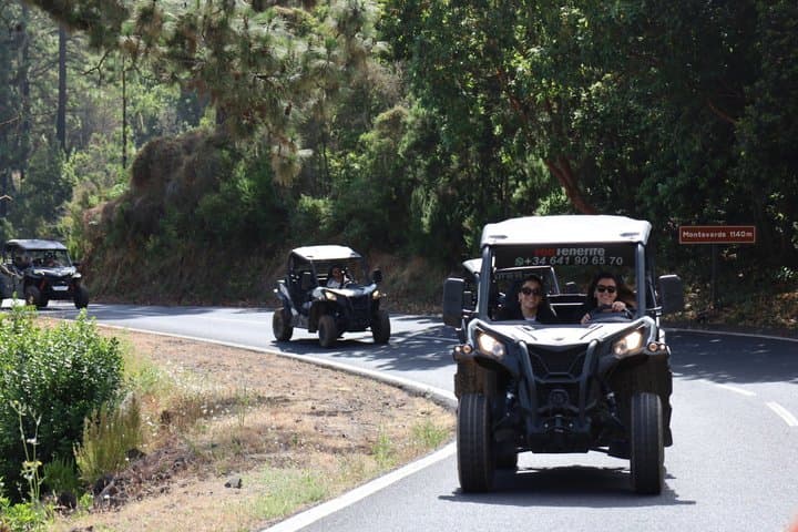 Puerto de la Cruz : Parque Nacional del Día del Teide Buggy - 2