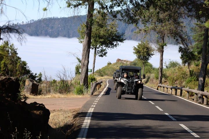 Puerto de la Cruz : Parque Nacional del Día del Teide Buggy - 5
