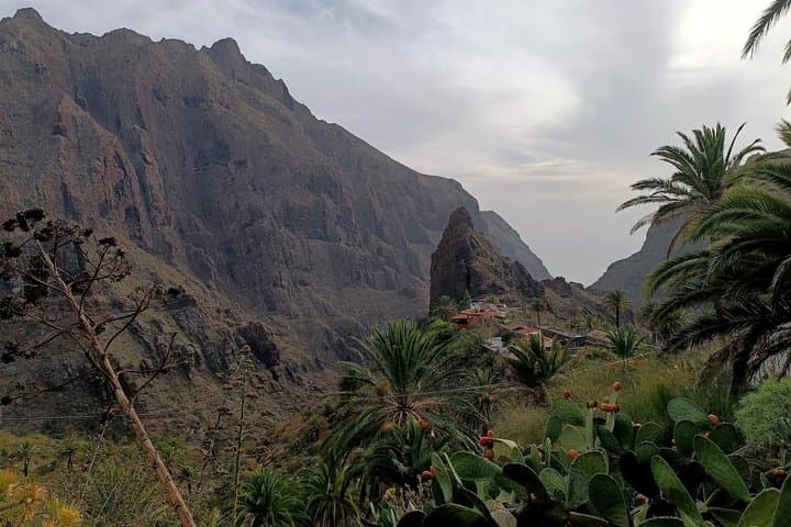 Tour Premium: Discovery (Masca, Punta de Teno y Garachico) - 4