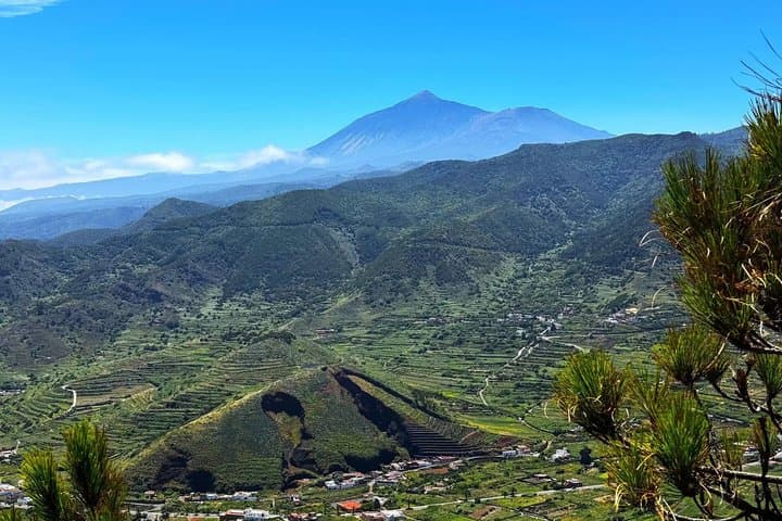 Tour Premium: Discovery (Masca, Punta de Teno y Garachico) - 7