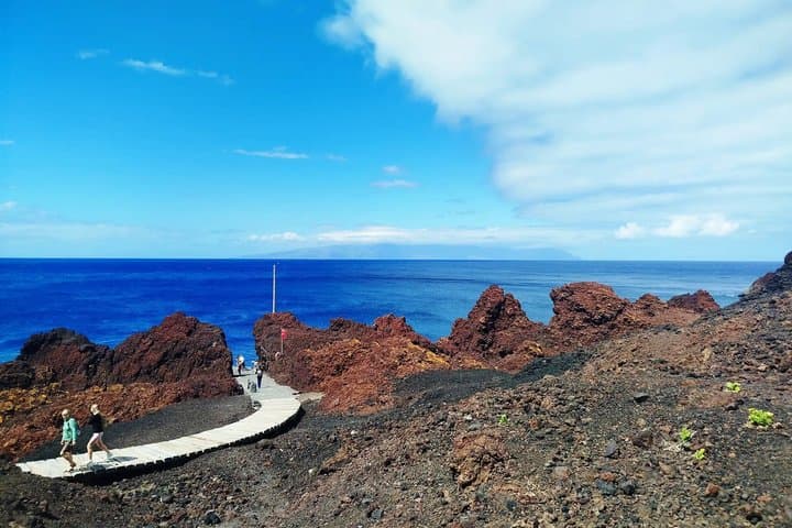 Tour Premium: Discovery (Masca, Punta de Teno y Garachico) - 8