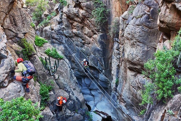 Parque de Aventura Vertical para principiantes Vía Ferrata en Tenerife - 2