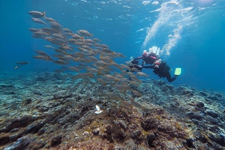 Tenerife Experiencia de buceo principiante con fotos y vídeos - 2