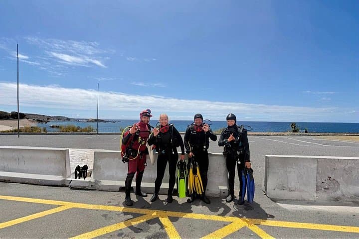 Tenerife Experiencia de buceo principiante con fotos y vídeos - 3