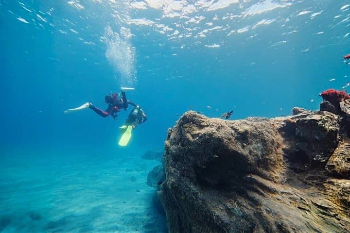 Tenerife Experiencia de buceo principiante con fotos y vídeos - 4