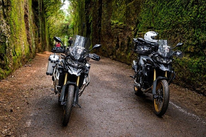 Visita guiada en moto por montañas y bosques - 5