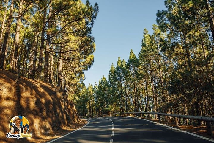 Tenerife: Tour de audio sin conductor del Parque Nacional del Teide - 5