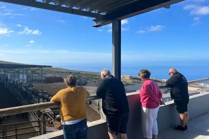 Tenerife : Excursión artesanal a la granja de quesos con degustación de ajedrez & vinos - 2