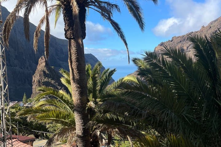 Tour a Masca y Los Gigantes con Piscinas Naturales y Picnic - 8