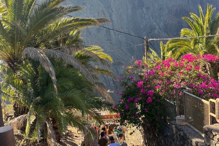 Tour a Masca y Los Gigantes con Piscinas Naturales y Picnic - 4
