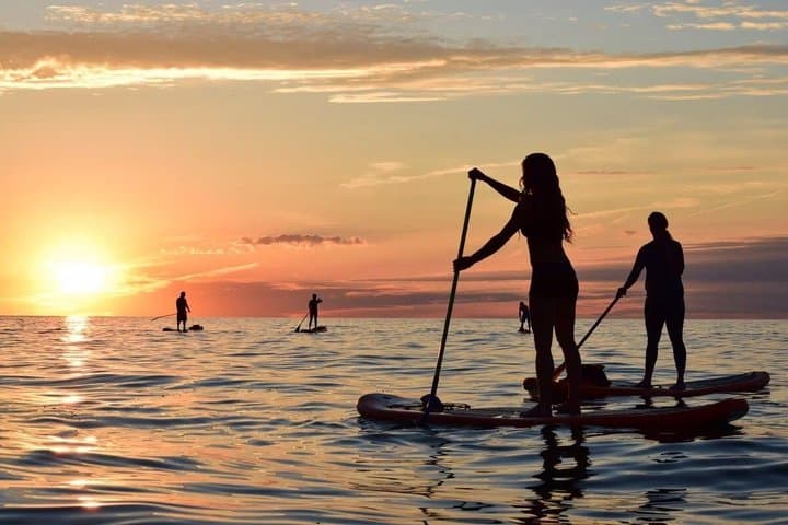 Paddle Surf con Snorkel en Palm-Mar Delfines y Tortugas - 1