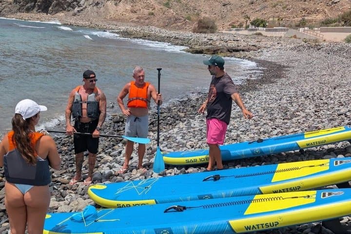 Paddle Surf con Snorkel en Palm-Mar Delfines y Tortugas - 4