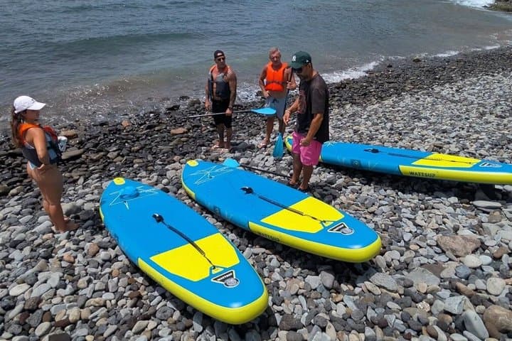 Paddle Surf con Snorkel en Palm-Mar Delfines y Tortugas - 5