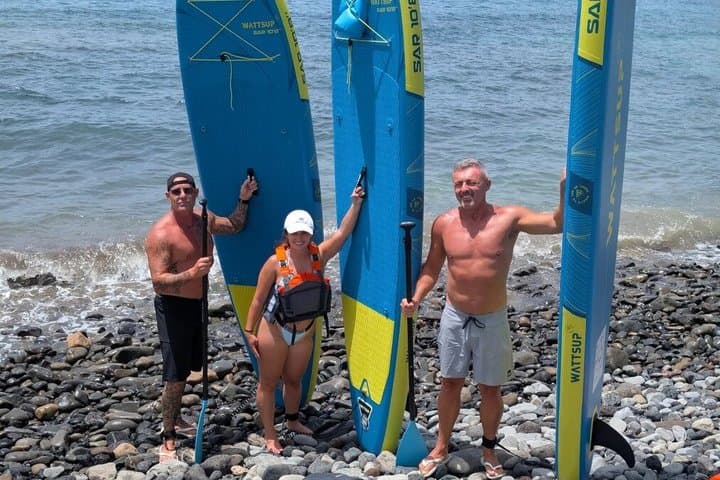 Paddle Surf con Snorkel en Palm-Mar Delfines y Tortugas - 6