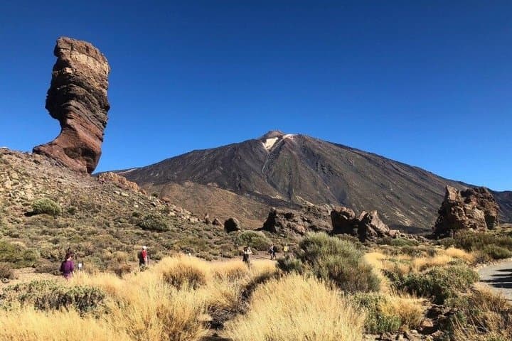 Tour de Tenerife Amigable para Cruceros: Cumbres Volcánicas y Ciudades UNESCO - 6