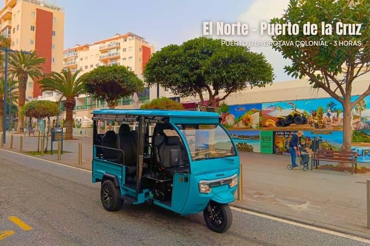Puerto de la Cruz en Tuktuk Norte de Tenerife y La Orotava - 1