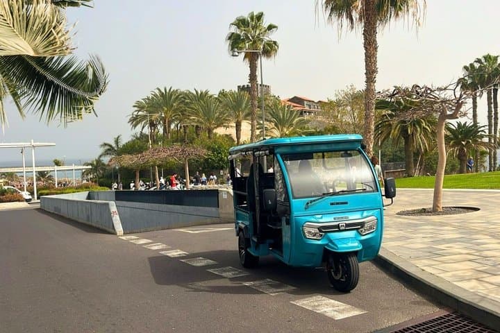 Puerto de la Cruz en Tuktuk Norte de Tenerife y La Orotava - 6