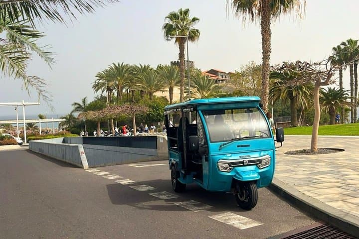Puerto de la Cruz en Tuktuk Norte de Tenerife y La Orotava - 7