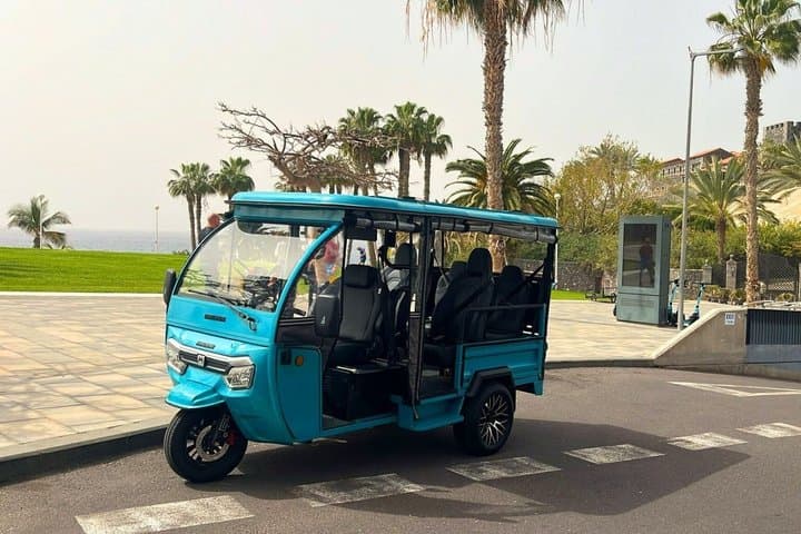 Puerto de la Cruz en Tuktuk Norte de Tenerife y La Orotava - 8