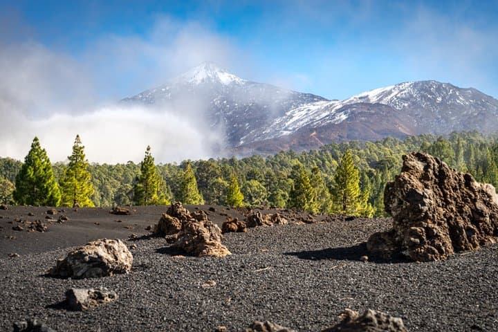 Tour matutino del Teide en Tenerife - 6