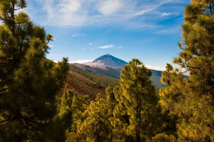 Tour matutino del Teide en Tenerife - 8