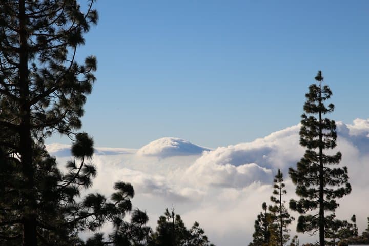 Excursión de un día a Santa Cruz de Tenerife, Anaga y La Laguna - 5