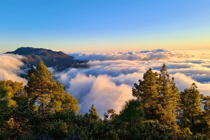 Excursión de un día desde Tenerife a La Gomera Guía en rumano - 4