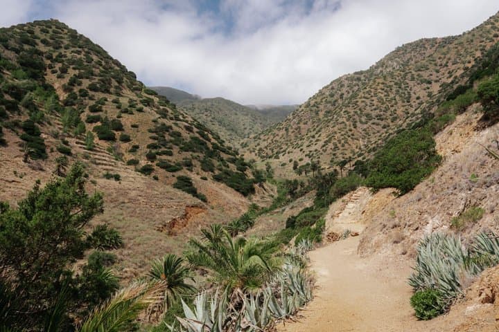 Excursión de un día desde Tenerife a La Gomera Guía en rumano - 5