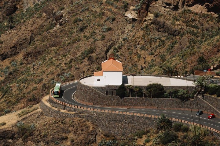 Excursión de un día desde Tenerife a La Gomera Guía en rumano - 3