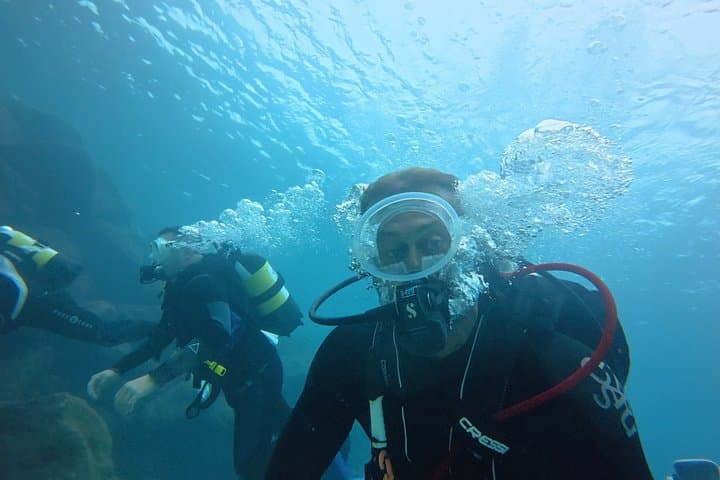 Tenerife Buceo Principiante Prueba con Colección y Fotos - 3