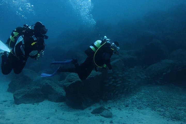 Tenerife Buceo Principiante Prueba con Colección y Fotos - 8