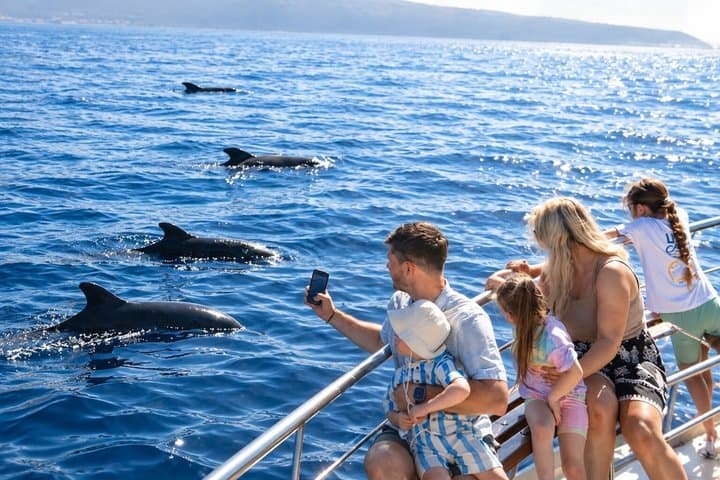 Tenerife: Avistamiento de Ballenas y Delfines con Chapuzón