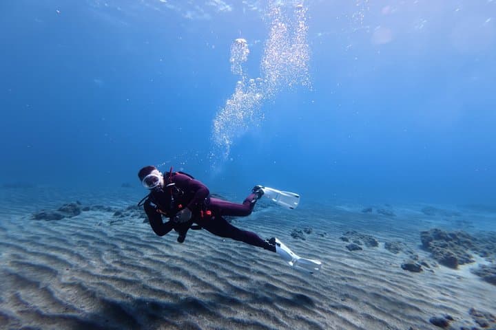Tenerife Buceo Principiante Prueba con Colección y Fotos - 1