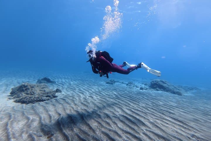 Tenerife Buceo Principiante Prueba con Colección y Fotos - 6
