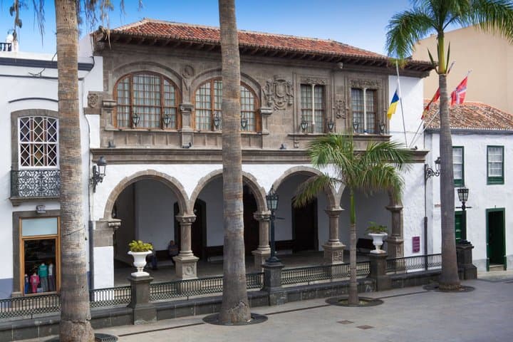 Excursión a La Palma desde Tenerife Sur: Paisajes Volcánicos - 4