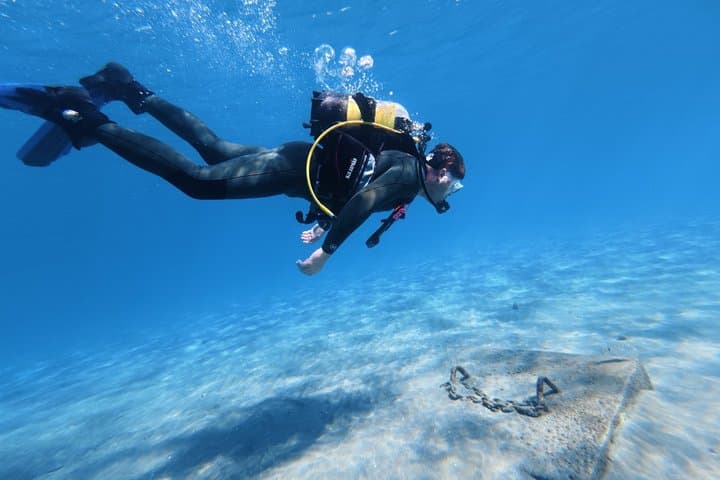 Tenerife Buceo Principiante Prueba con Colección y Fotos - 4