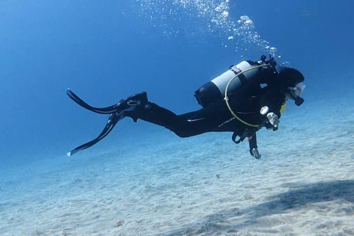 Tenerife Buceo Principiante Prueba con Colección y Fotos - 7