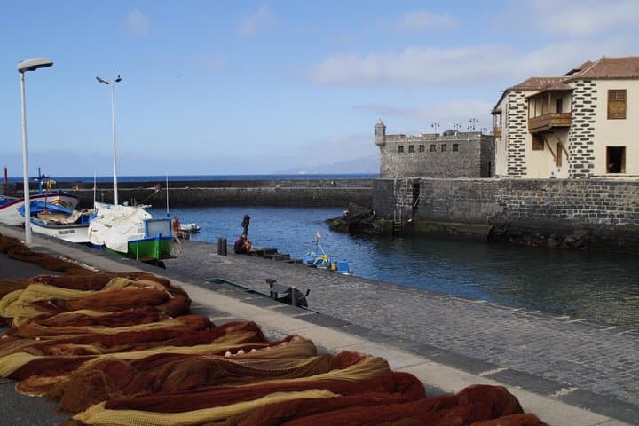 Traslado para cruceros: Muelle de Santa Cruz a Puerto de la Cruz - 4