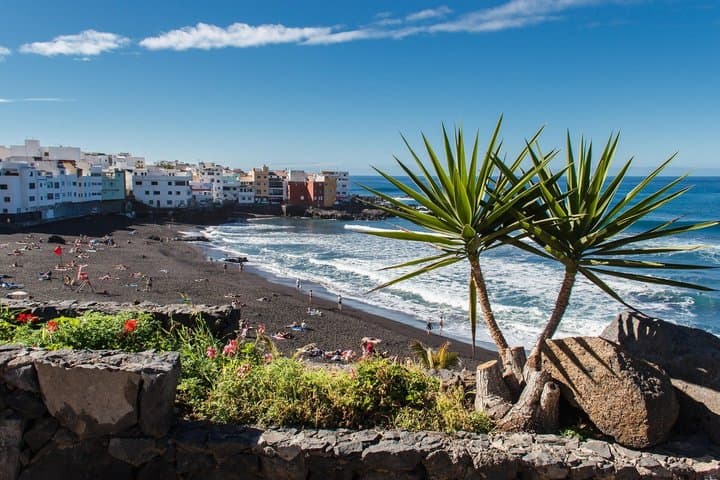 Traslado para cruceros: Muelle de Santa Cruz a Puerto de la Cruz - 5